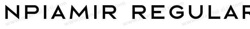 NPIAmir Regular字体转换